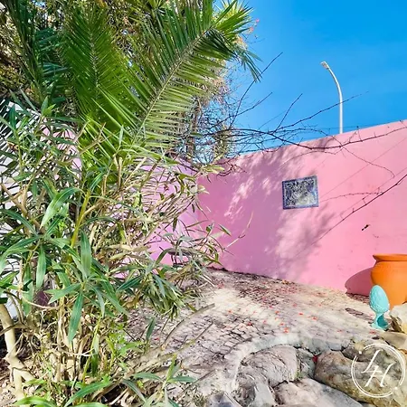Holiday home Casaancora - Sea View Rooftop - 1km - Garden *