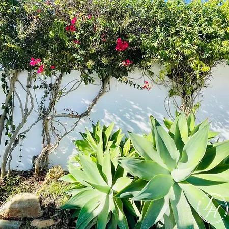 度假居 Casaancora - Sea View Rooftop - 1km - Garden