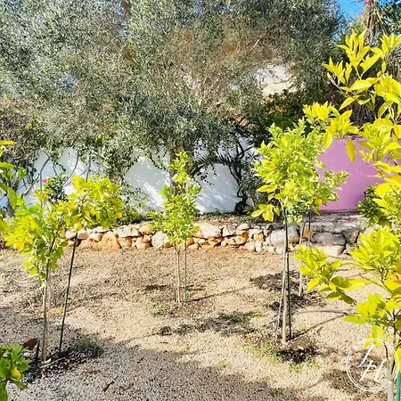 Holiday home Casaancora - Sea View Rooftop - 1km - Garden